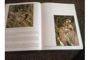 Wandeling door Waals Brabant ,de Dender, Vlaamse steden