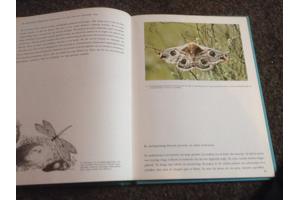 Wandeling door Waals Brabant ,de Dender, Vlaamse steden