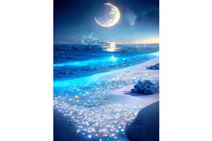 nr 7 Diamond Painting maanlicht strand 50x40cm (vierkant)