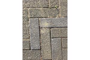 Gratis af te halen: 30m2 gebruikte betonnen klinkers