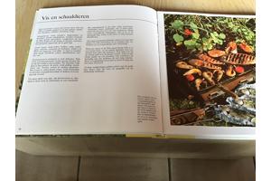 Boek ; koken in de open lucht (BBQ) LEKKERBEKKEN TOP