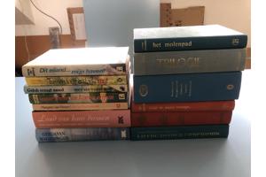 Streekromans Nederlands diverse schrijvers