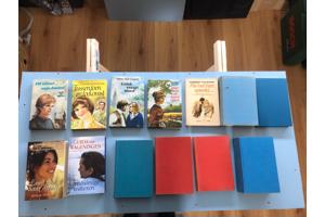 Streekromans Nederlands diverse schrijvers