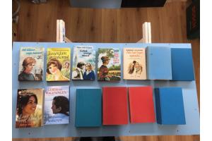 Streekromans Nederlands diverse schrijvers