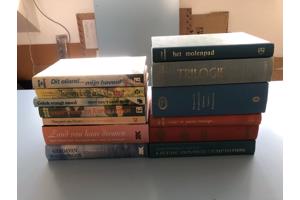 Streekromans Nederlands diverse schrijvers