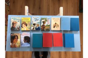 Streekromans Nederlands diverse schrijvers