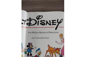 Walt Disney van Micky mouse tot Disneyland