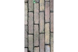 Rode klinkers getrommeld
