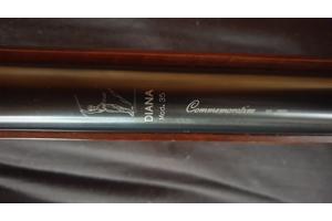 Diana  commemorative