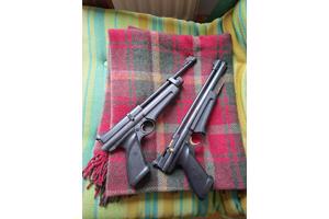 2x Crosman (Custombuild SSP250 en C1377)