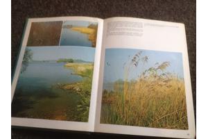 Boeken;Natuur en vogelreservaat 6 stuks,prachtige exemplaren