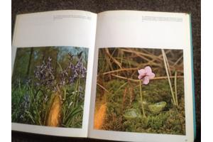 Boeken;Natuur en vogelreservaat 6 stuks,prachtige exemplaren