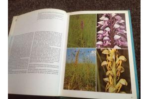 Boeken;Natuur en vogelreservaat 6 stuks,prachtige exemplaren