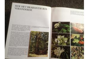 Boeken;Natuur en vogelreservaat 6 stuks,prachtige exemplaren