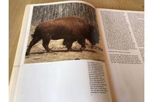 2 boeken v.Canada ,oudere & vernieuwde versie TOP