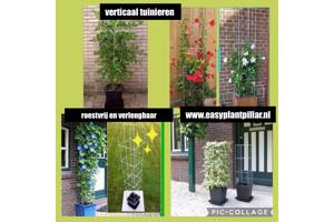 Klimplanten op het terras, tegel eruit plantrek erin