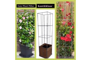 Klimplanten op het terras, tegel eruit plantrek erin