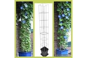 Klimplanten op het terras, tegel eruit plantrek erin