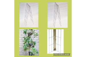 Klimplanten op het terras, tegel eruit plantrek erin