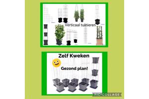 Klimplanten op het terras, tegel eruit plantrek erin