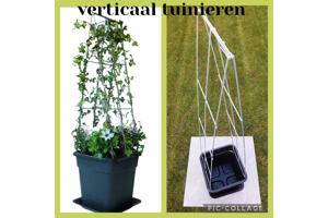 Klimplanten op het terras, tegel eruit plantrek erin