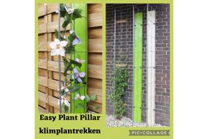 Klimplanten op het terras, tegel eruit plantrek erin