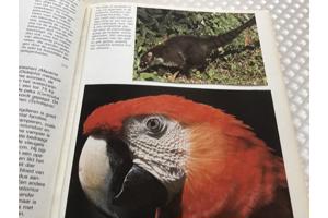 Centraal Amerika ,wat een enorm land en zo dicht bij andere