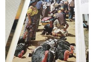 Centraal Amerika ,wat een enorm land en zo dicht bij andere