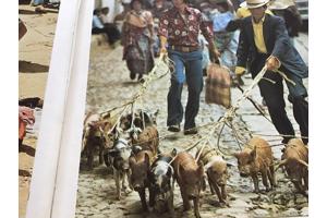 Centraal Amerika ,wat een enorm land en zo dicht bij andere