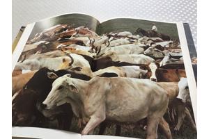 Centraal Amerika ,wat een enorm land en zo dicht bij andere