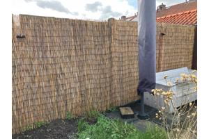 Riet haag voor tuin