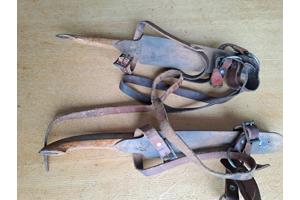 friese doorloper schaatsen