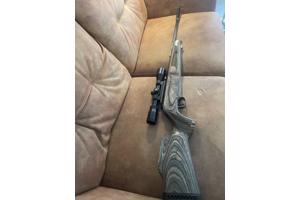 Theoben Eliminator .22