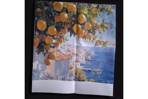 Set van 4 kussenhoezen kustdorp citroenen 45x45cm