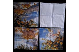 Set van 4 kussenhoezen kustdorp citroenen 45x45cm