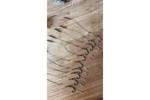 Ik maak Karper onderlijnen op aanvraag!