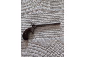 2x salonpistool vrijgesteld