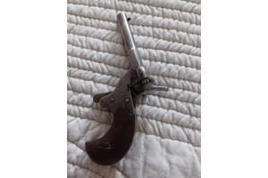 2x salonpistool vrijgesteld