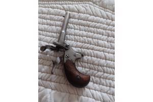 2x salonpistool vrijgesteld