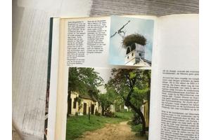 OOSTENRIJK ;om op reis te gaan,ski-land ,beklimmingen,L&#x27;autr