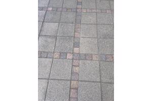 Gratis afhalen, zelf uit de tuin halen.