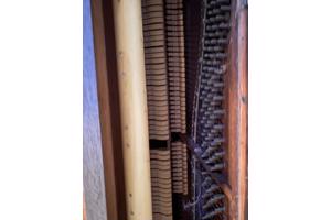 Pianoo gratis op te halen