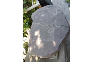 Voor bestrating en sierbestrating