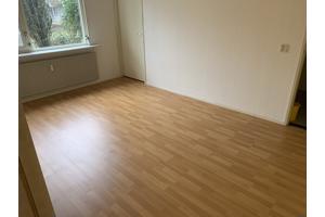 Laminaatvloer beuken 60 m2 plus een nieuw pak en plinten