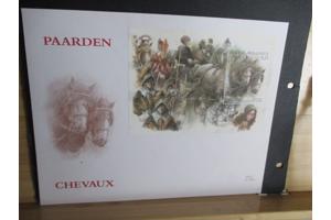 100 Jaar St. Paulus paardenprocessie in Opwijk