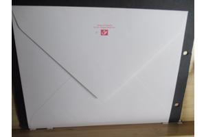 100 Jaar St. Paulus paardenprocessie in Opwijk