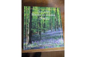 Natuur in België - Bossen en Wouden