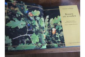 Natuur in België - Bossen en Wouden