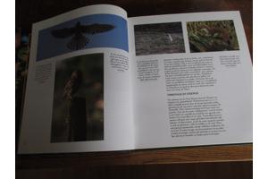 Natuur in België - Bossen en Wouden