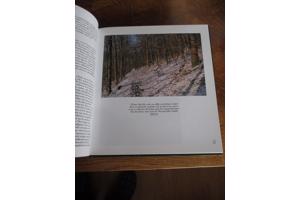 Natuur in België - Bossen en Wouden